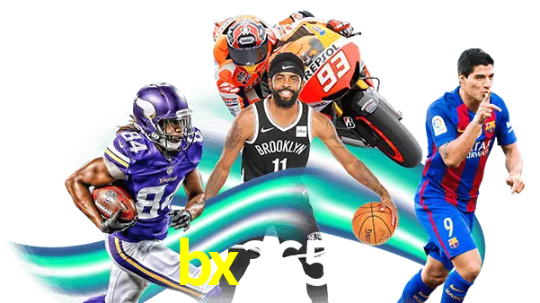 bx3653